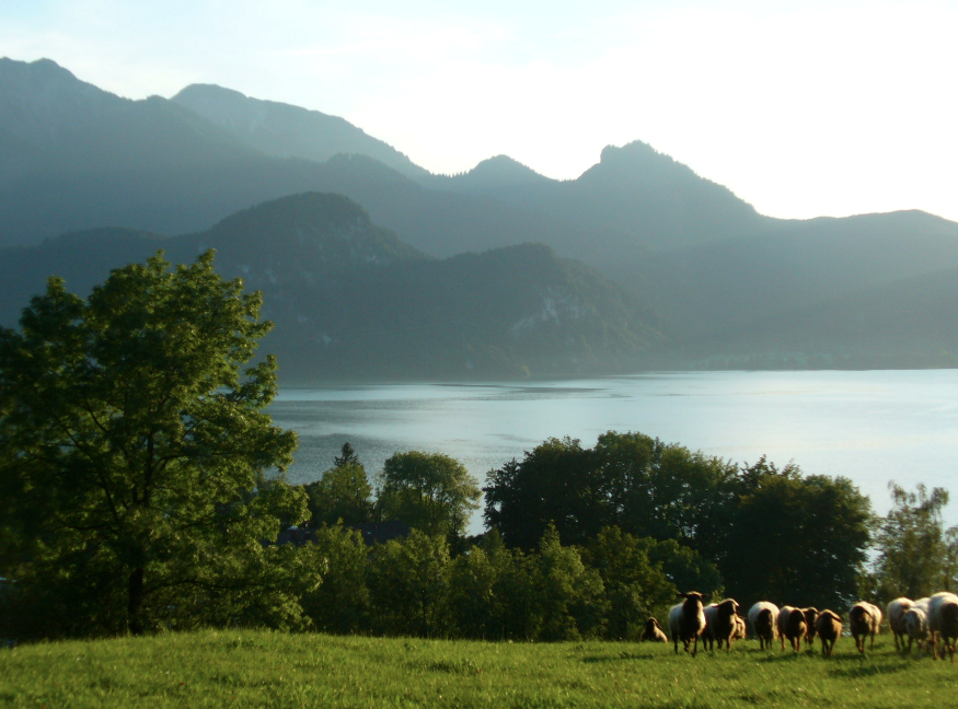 You are currently viewing Ruhe im Sein