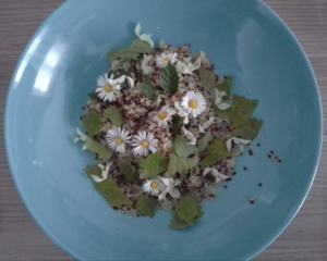Read more about the article Vegane Ernährung