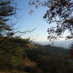 Naturbilder